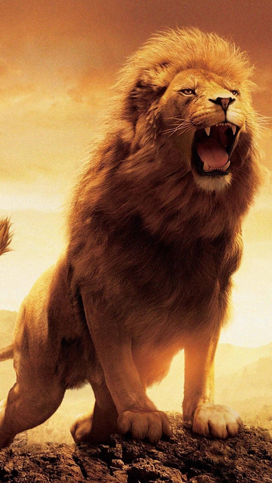 Roaring Wild Lion Iphone