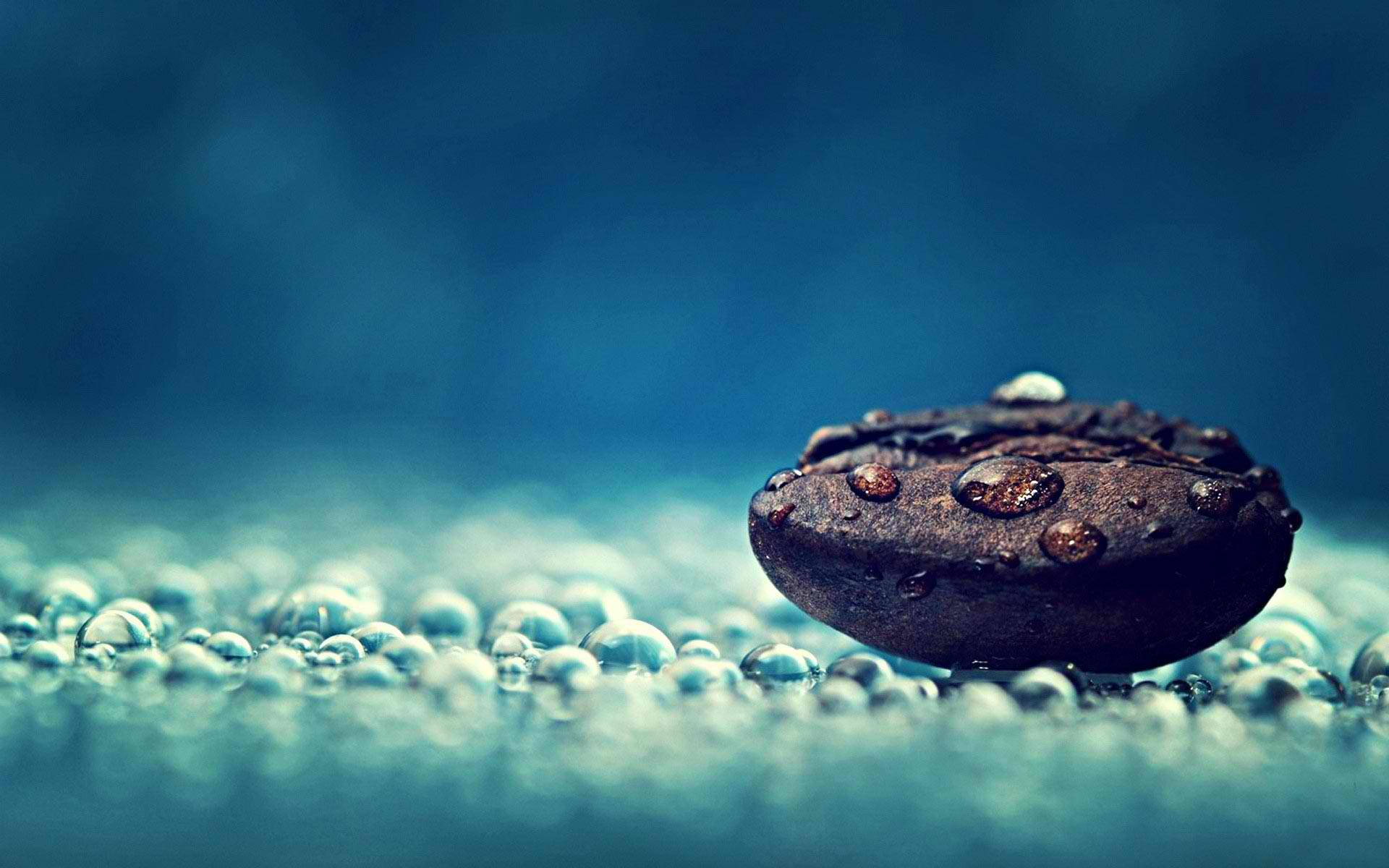 Roasted Coffee Bean Hd Computer Background