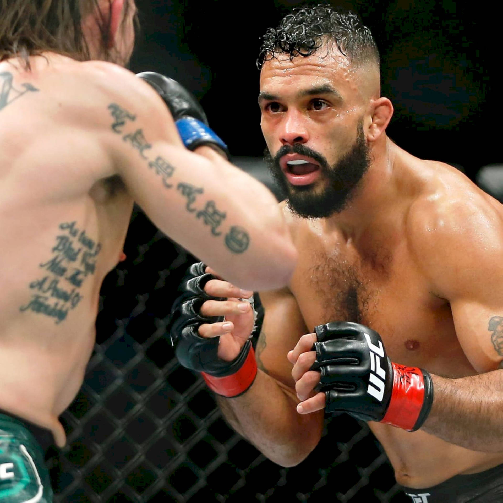 Rob Font During Fight With Simon Background