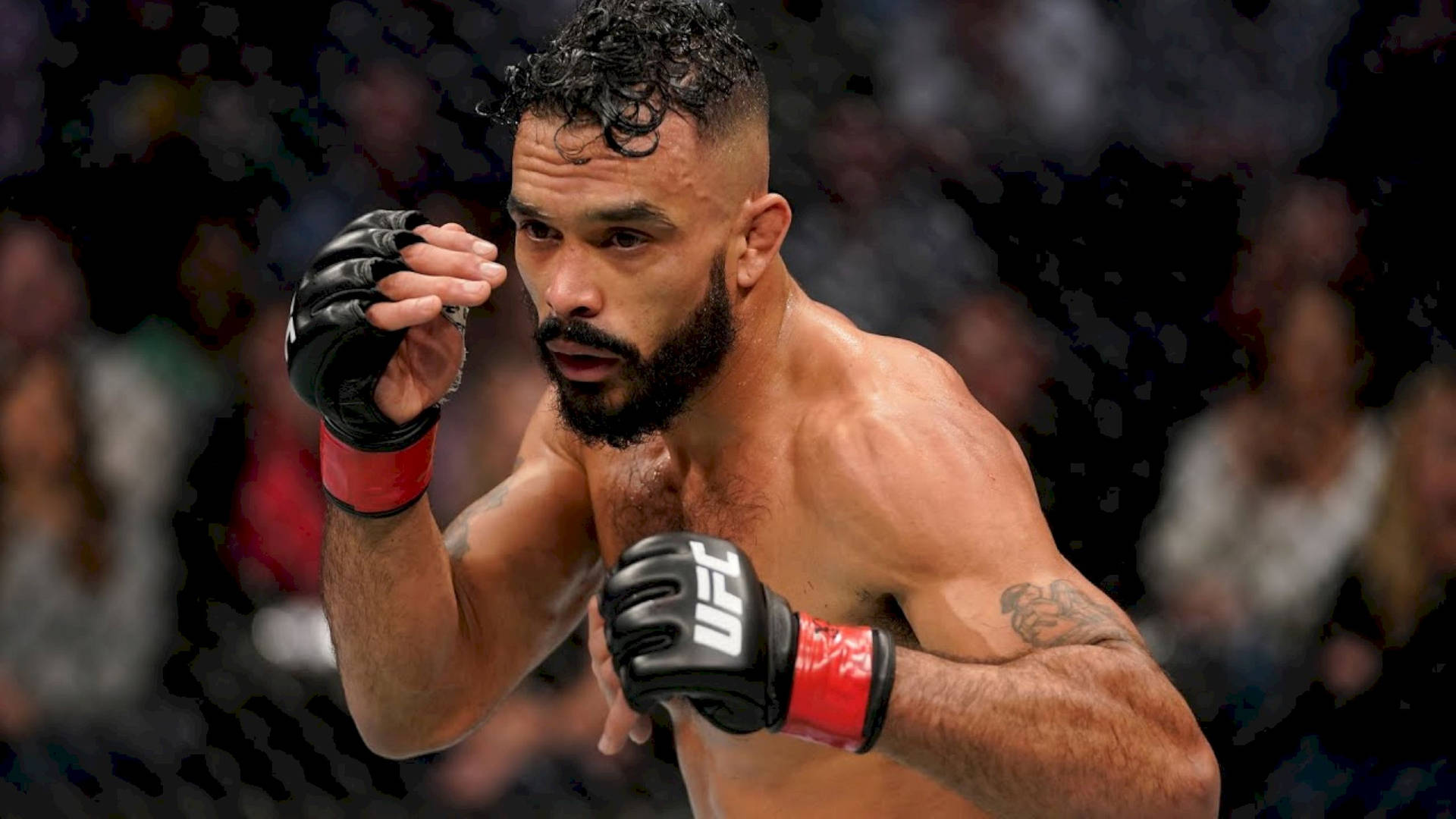 Rob Font In Action Background