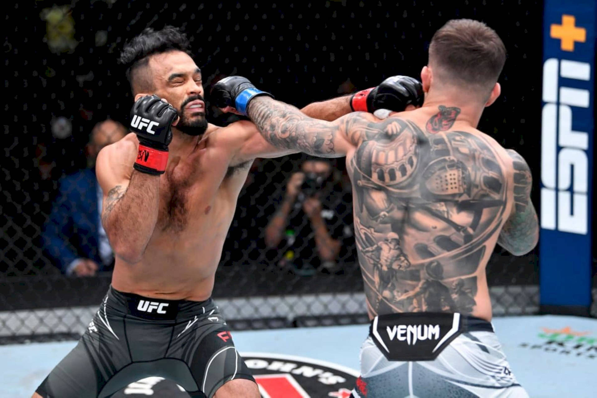 Rob Font In Intense Fight Background