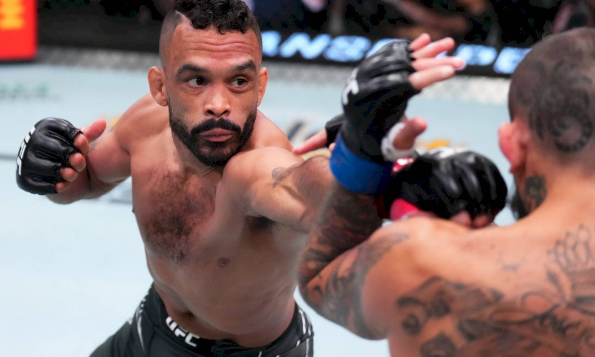 Rob Font Punch Blocked Background