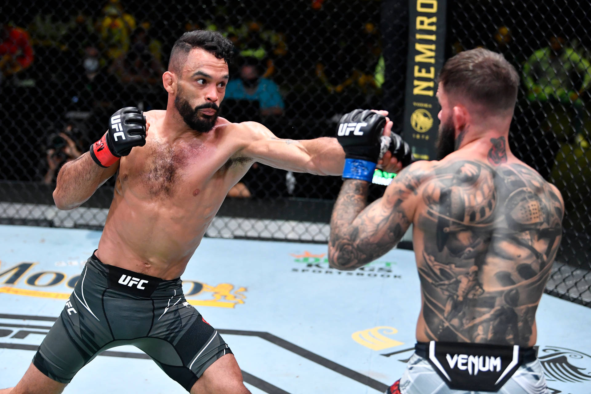 Rob Font Punching His Opponent Background