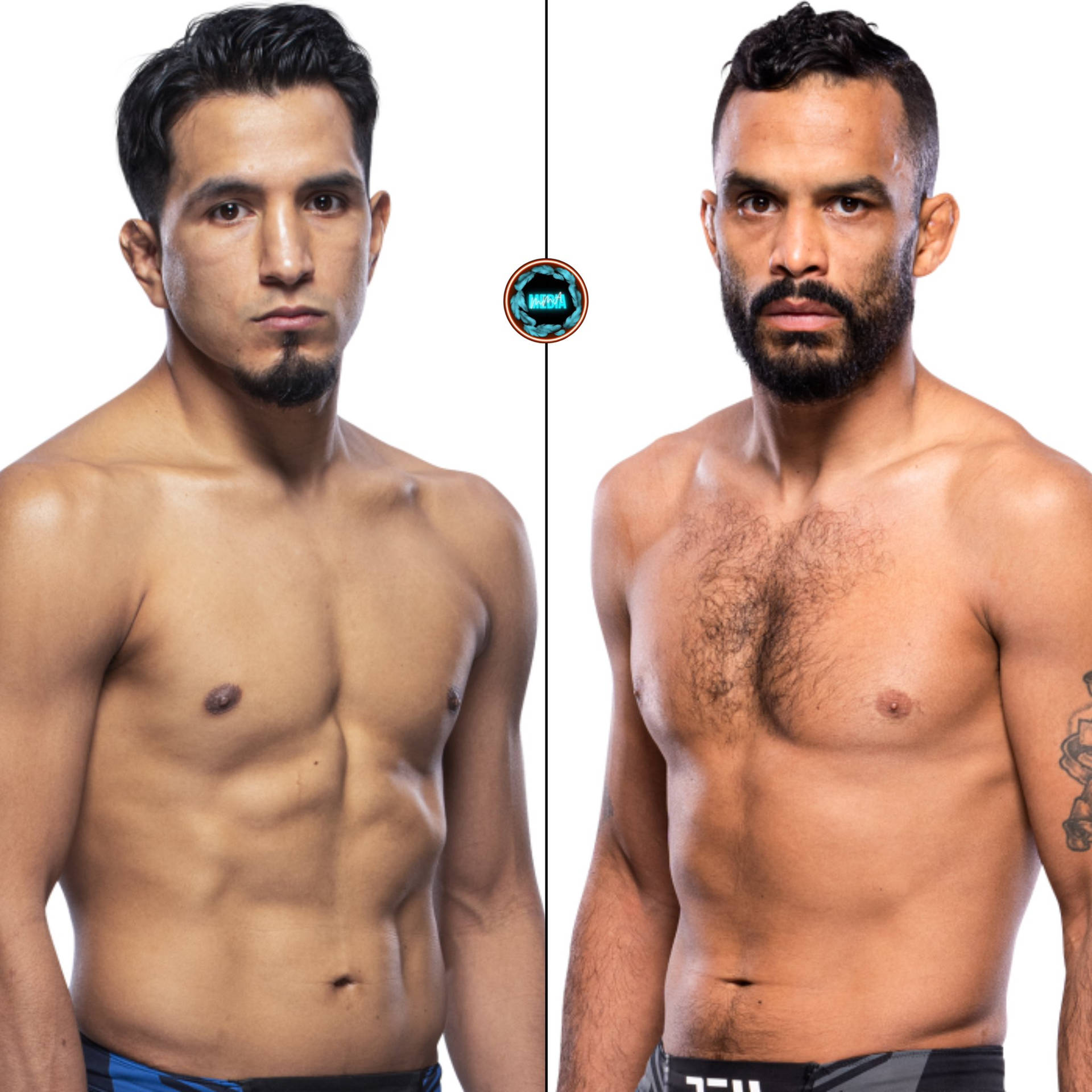 Rob Font, The Striking Power In The Ultimate Fighting Championship (ufc) Background