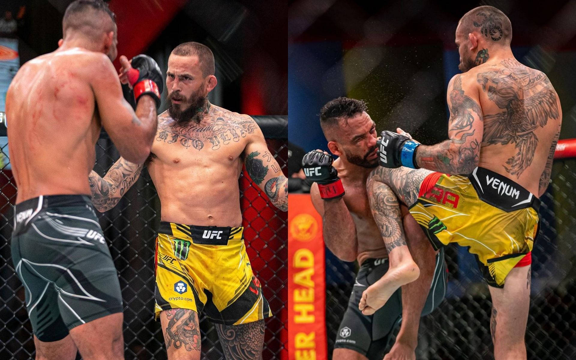 Rob Font Vs Marlon Vera Collage Background