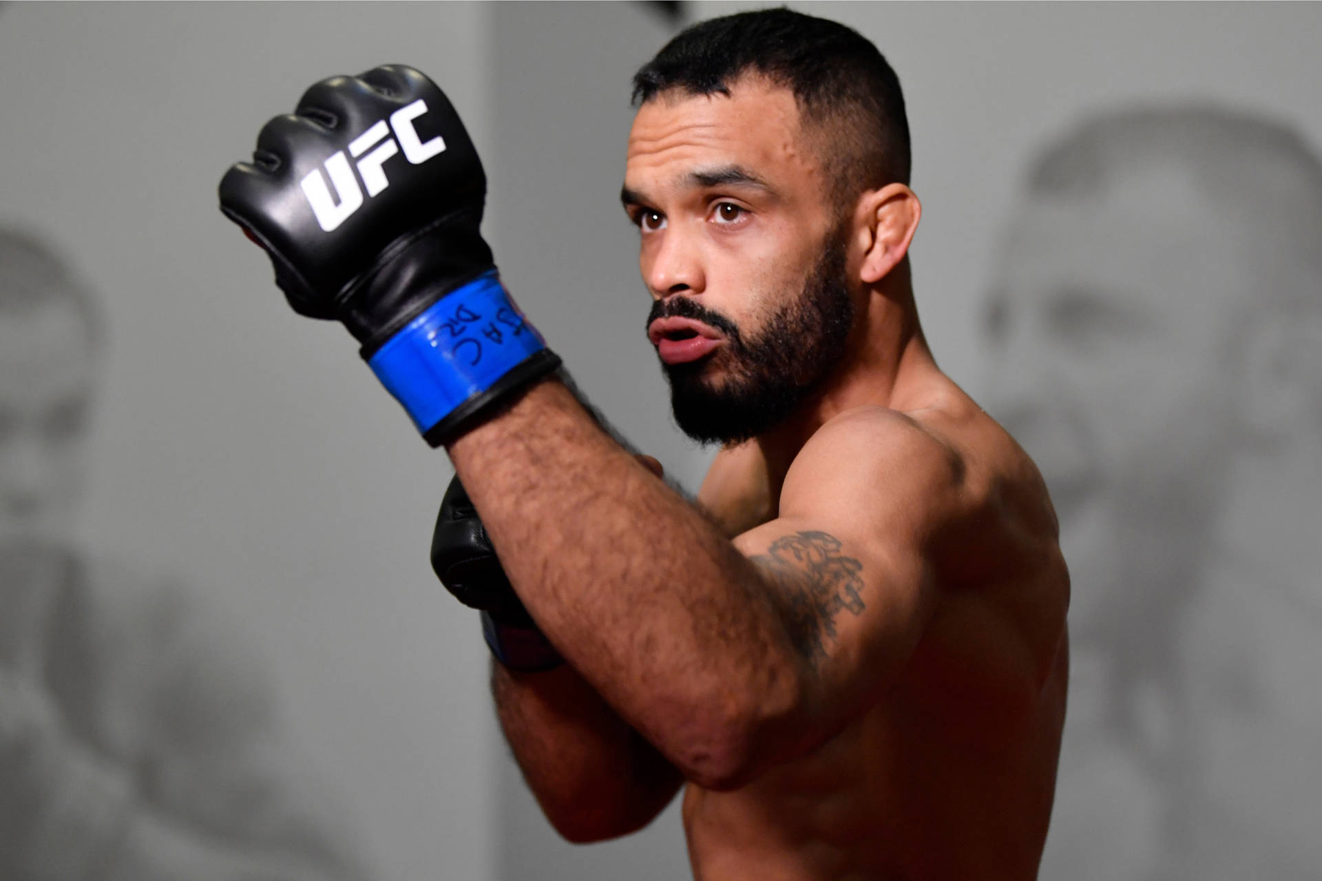 Rob Font Wearing Ufc Gloves Background