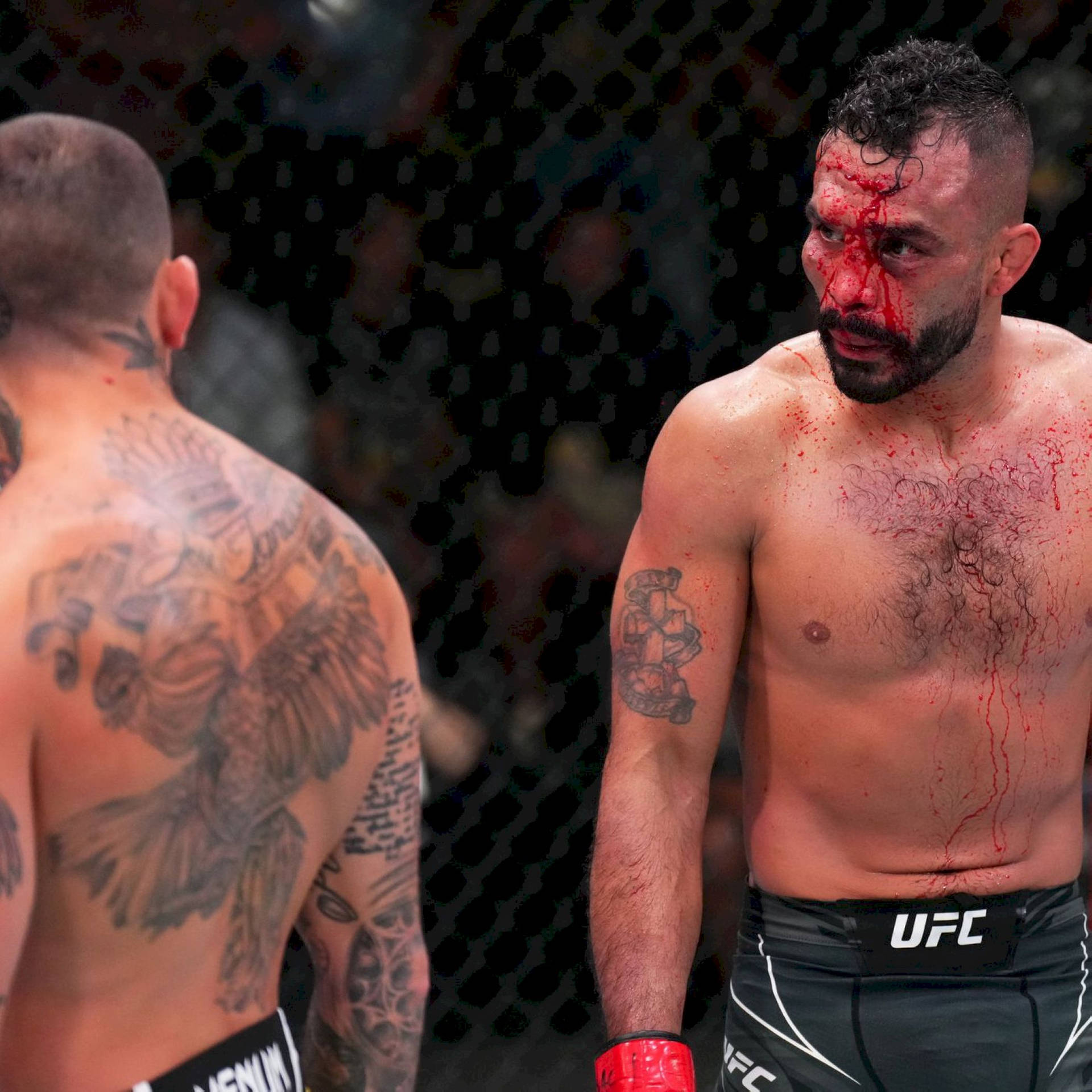 Rob Font With Bloody Face Background