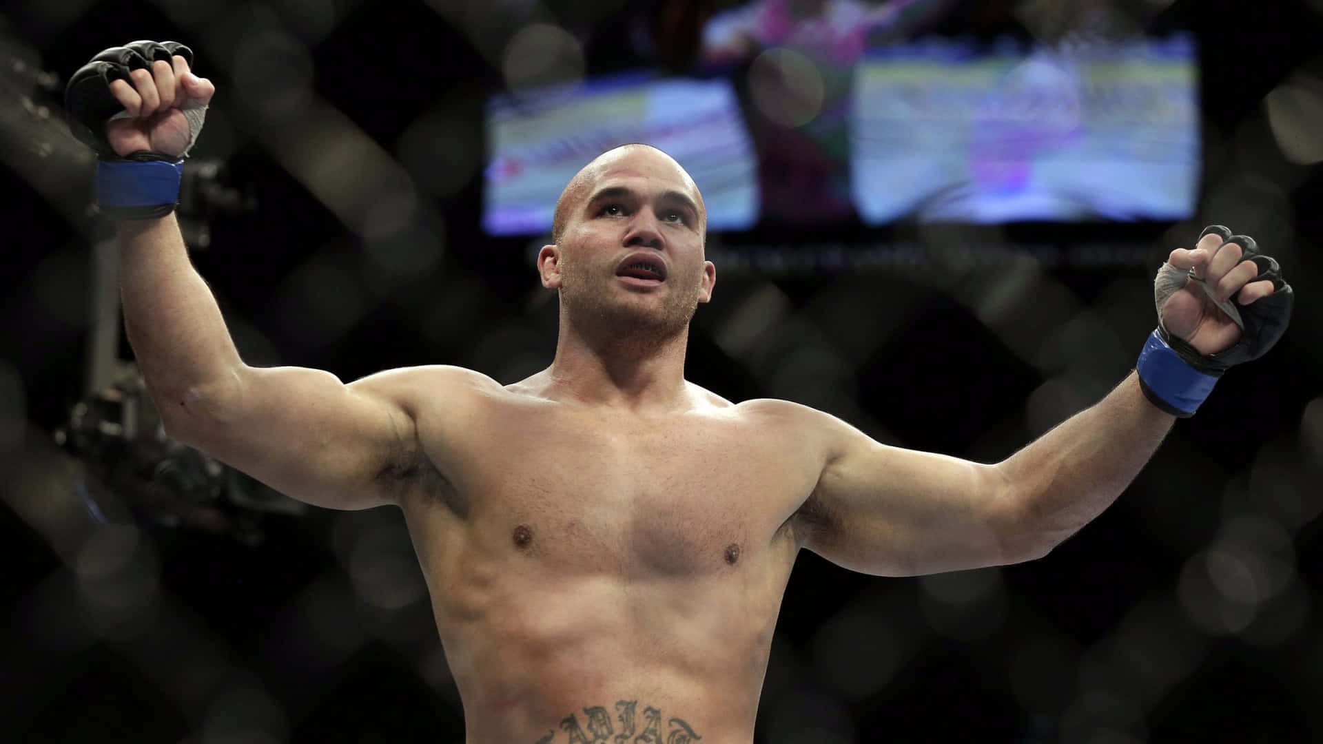 Robbie Lawler In Action During Ufc 167 Background