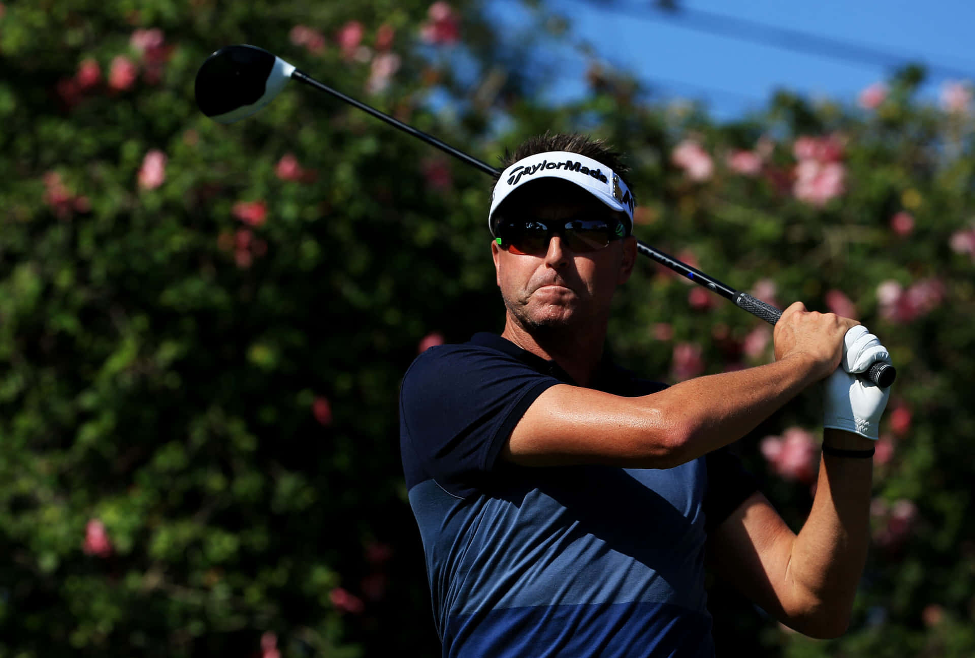 Robert Allenby Landscape Background