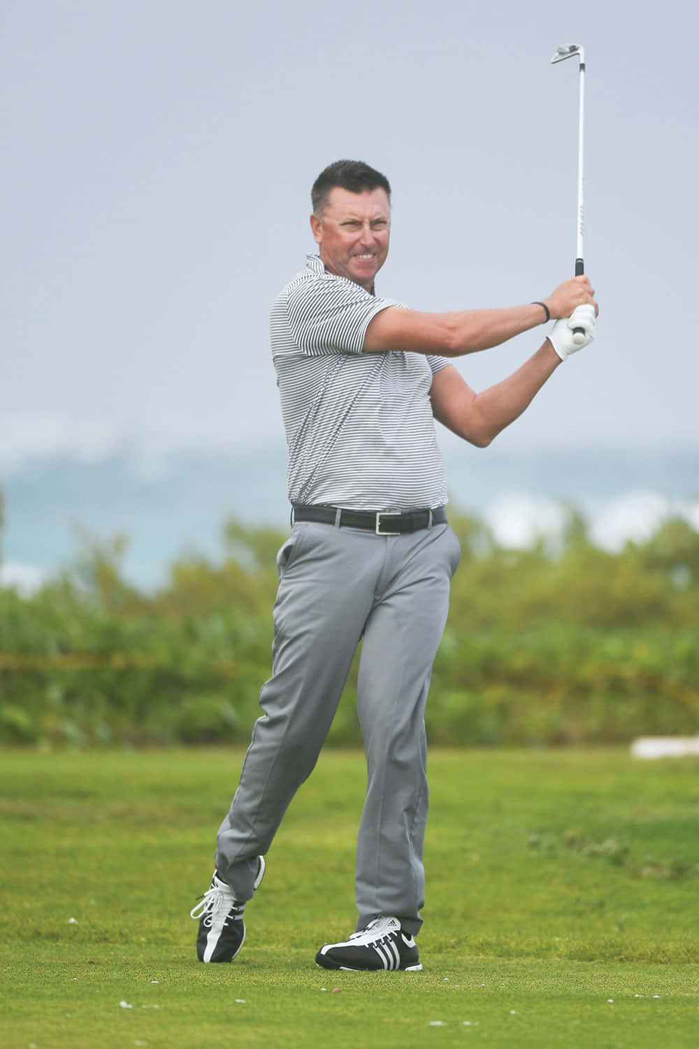 Robert Allenby Whole Body Background