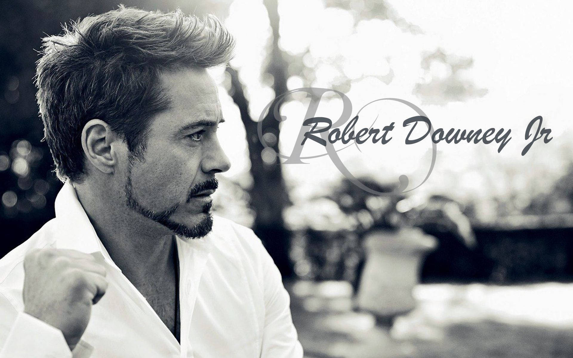 Robert Downey Jr – Actor Extraordinaire Background