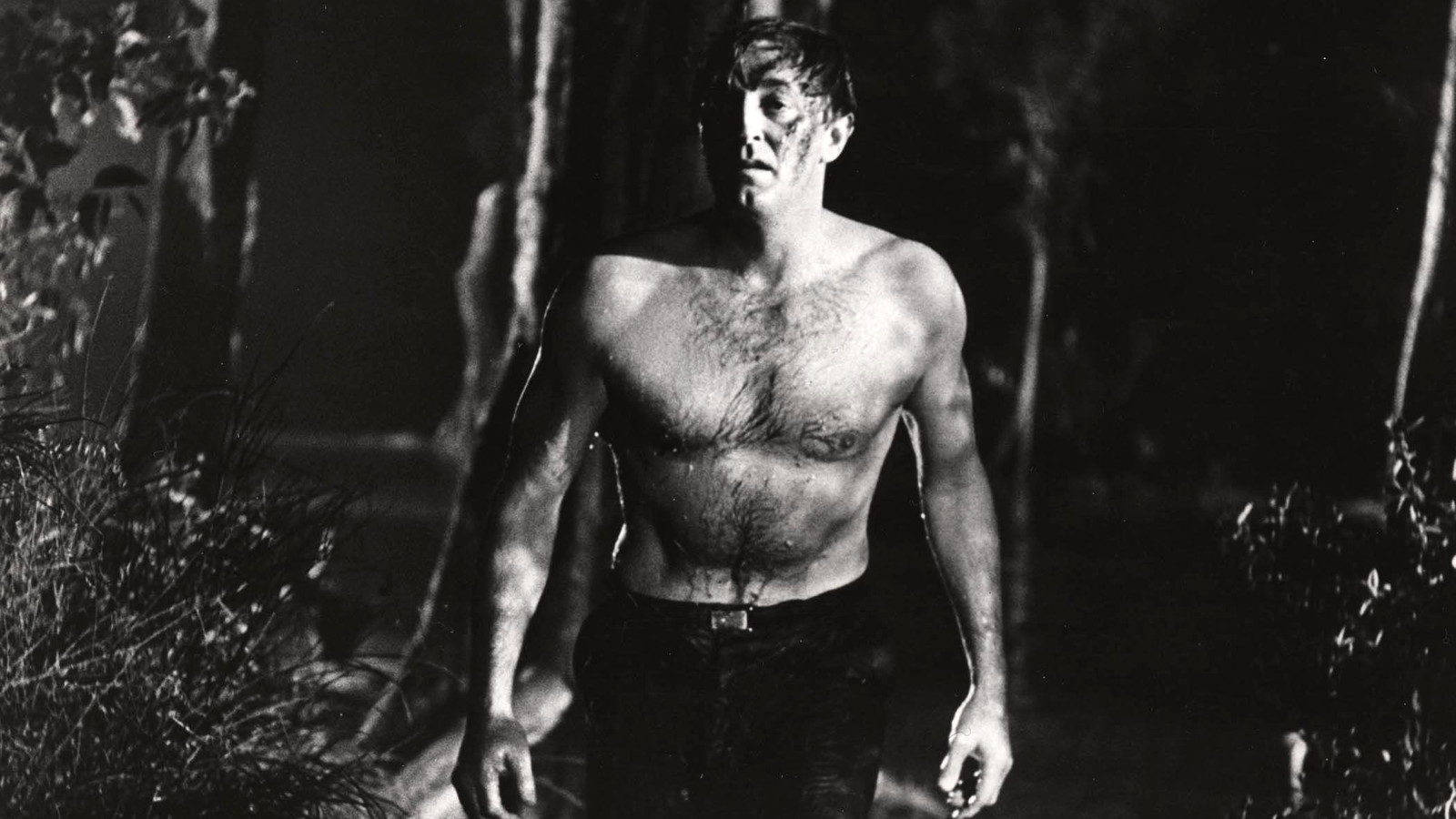 Robert Mitchum Black And White Shirtless In Forest Background