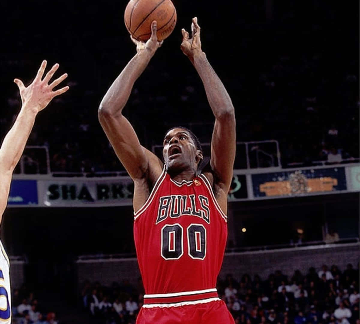 Robert Parish Chicago Bulls Player Background