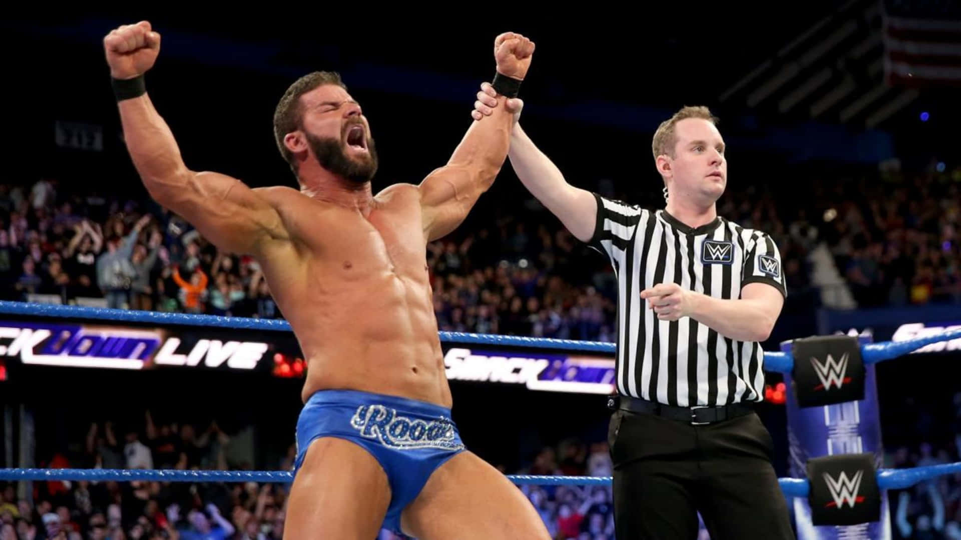 Robert Roode Feeling Victorious Background