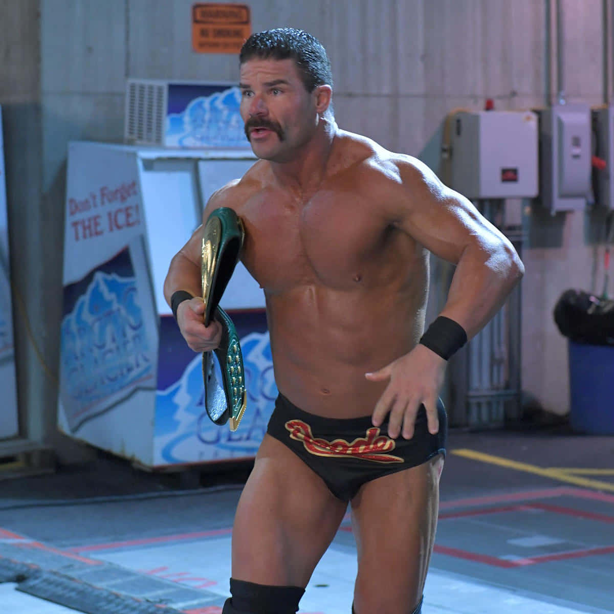 Robert Roode Ice Machine Background