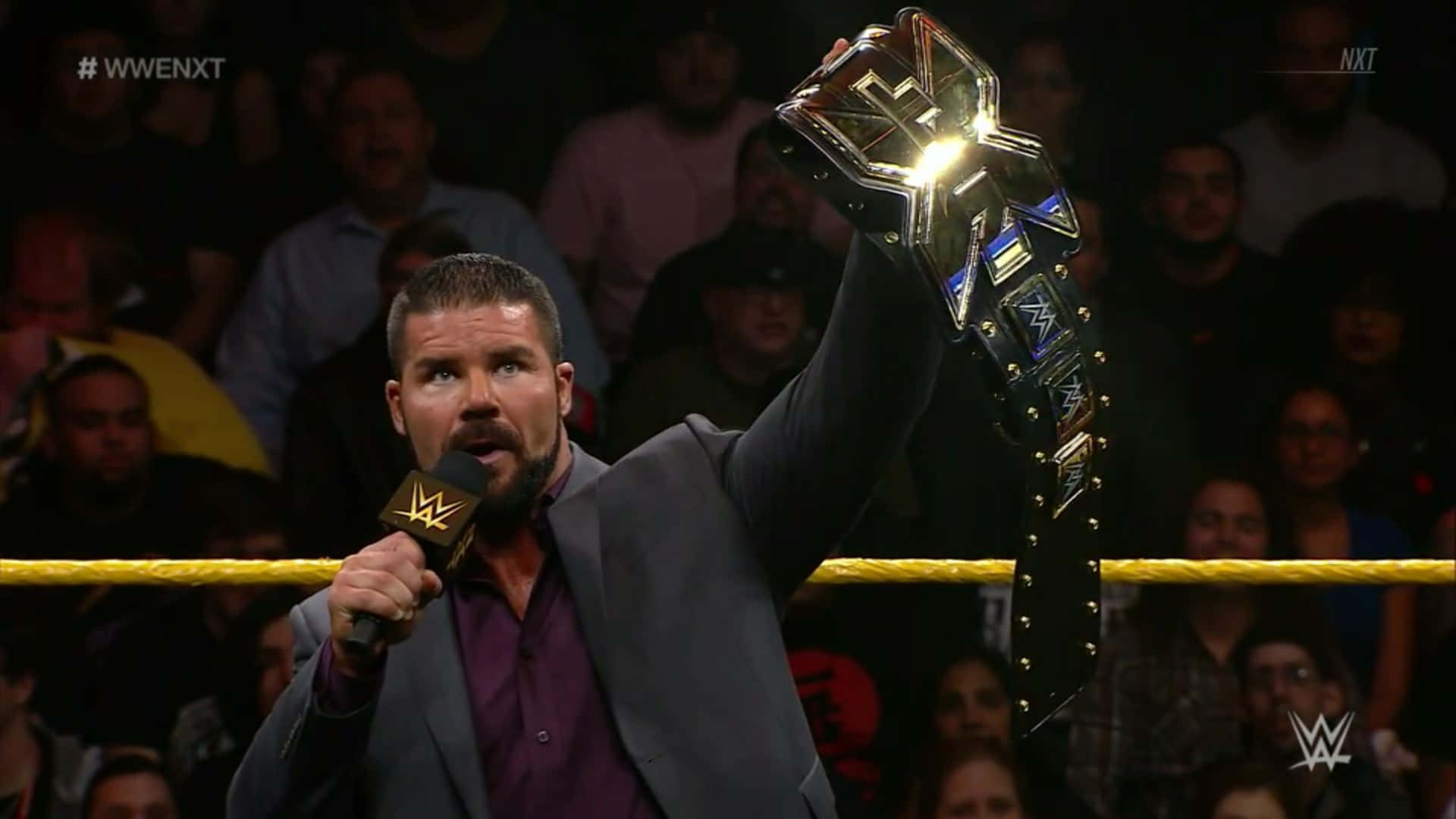 Robert Roode Speaking With Microphone Background