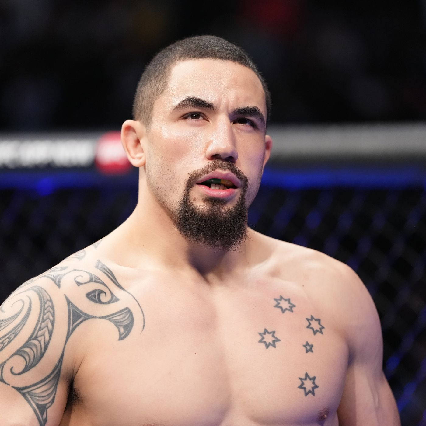 Robert Whittaker Portrait Photo Background