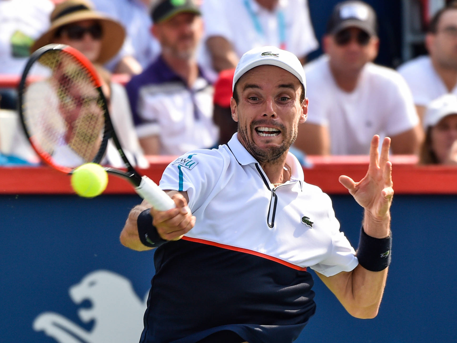 Roberto Bautista Agut Playing Tennis Background