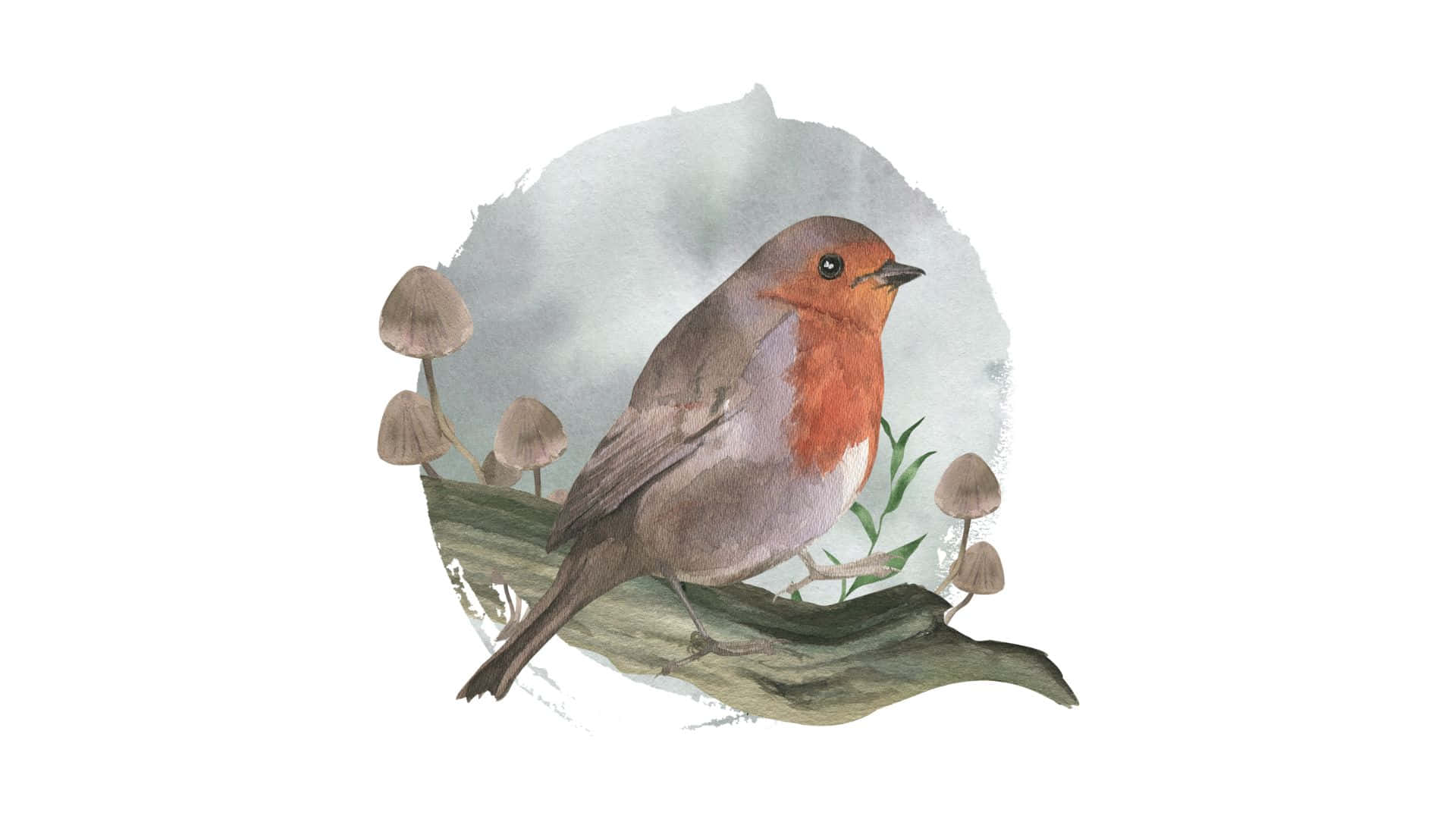 Robin Bird Watercolor Illustration