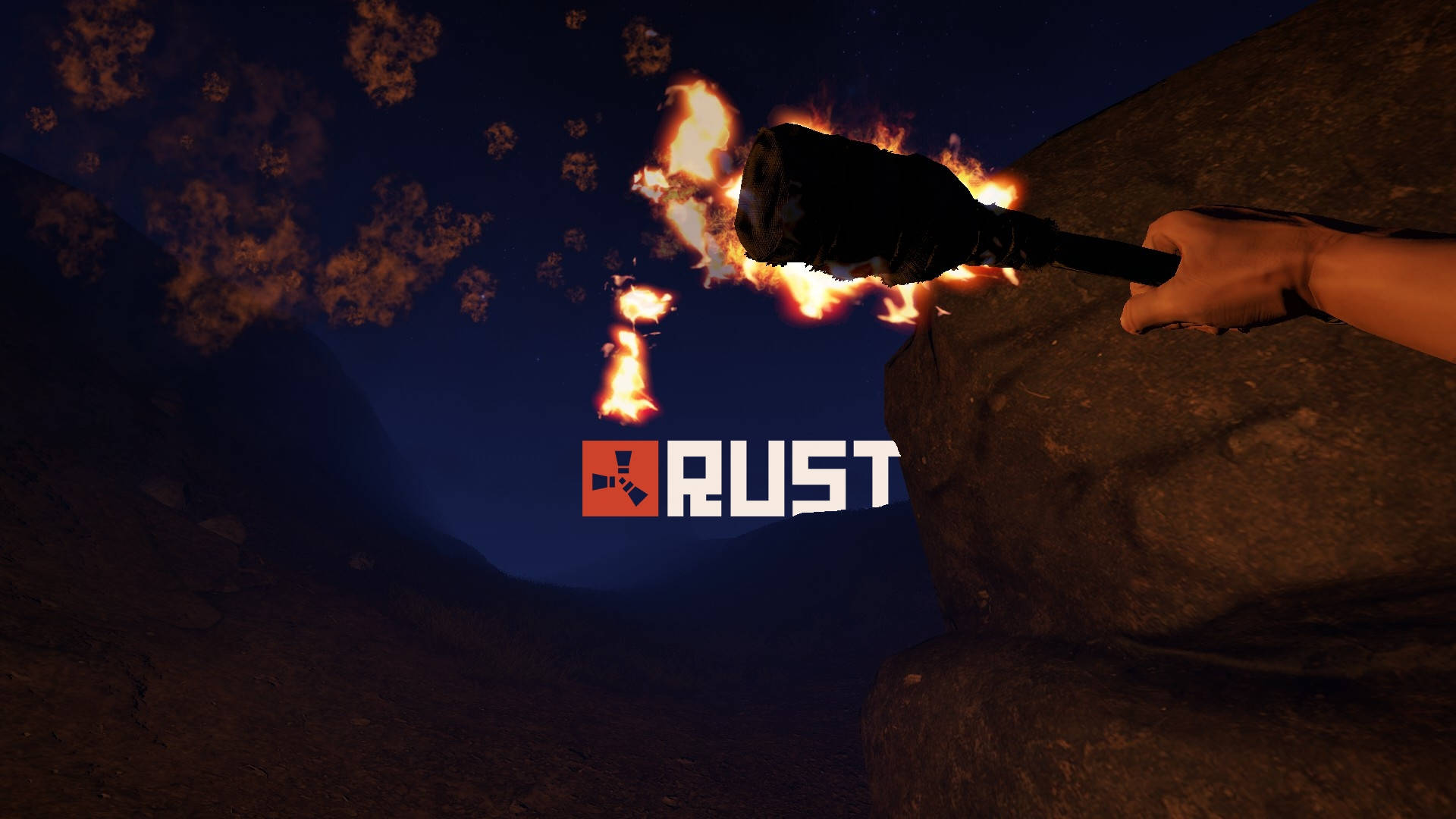 Robust Rust Programming Language Logo On Fire Background