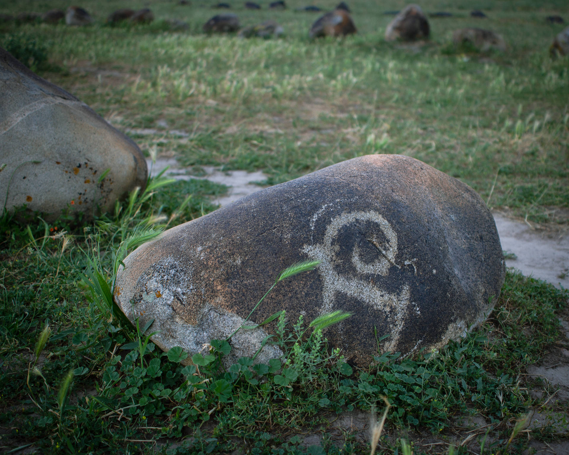 Rock Carvings Kyrgyzstan Background