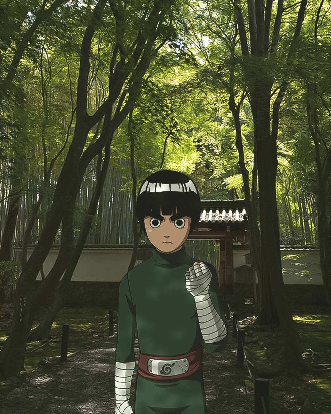 Rock Lee In The Forest Background