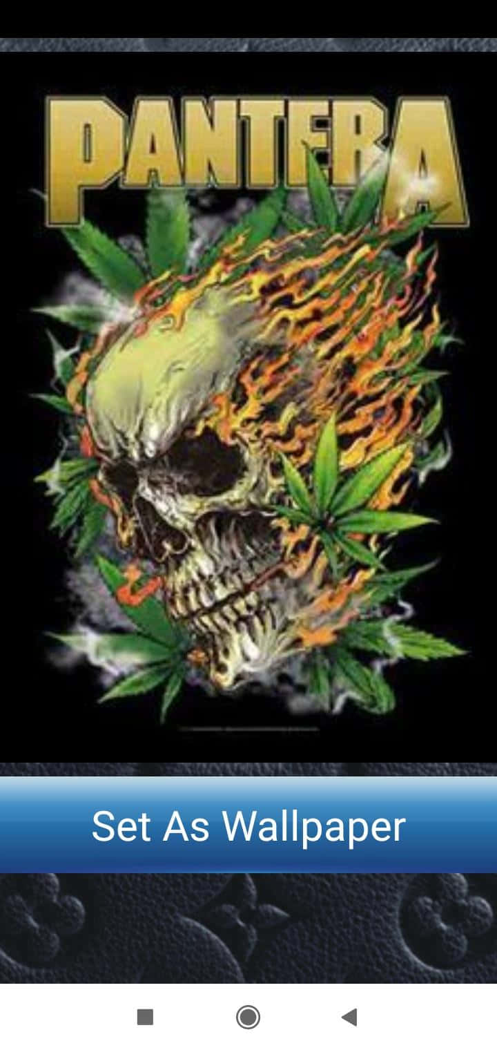 Rocking Out With Pantera Background