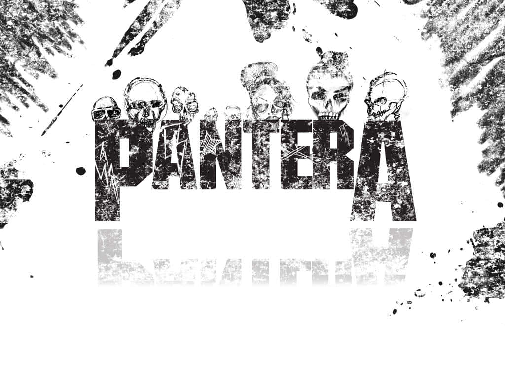 Rocking The Crowd With The Heavy Metal Band Pantera Background