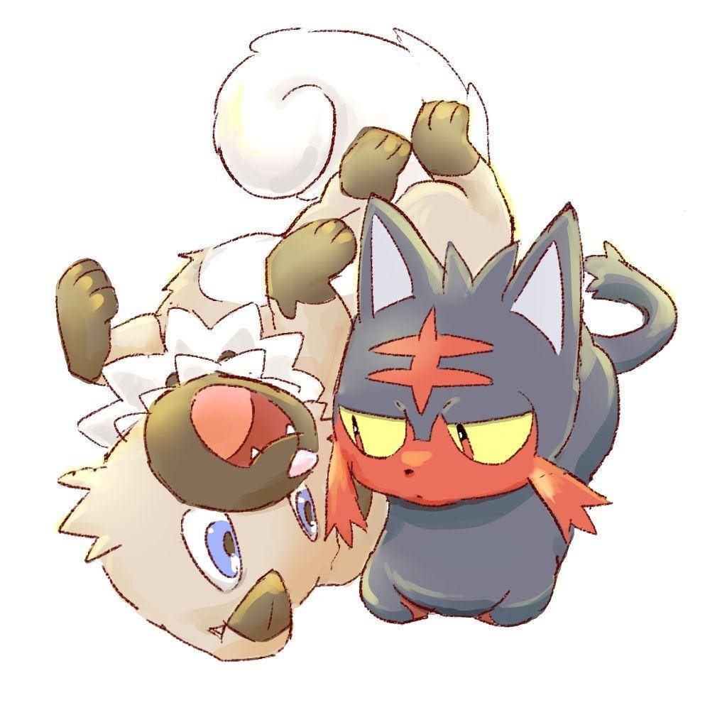 Rockruff And Litten Background