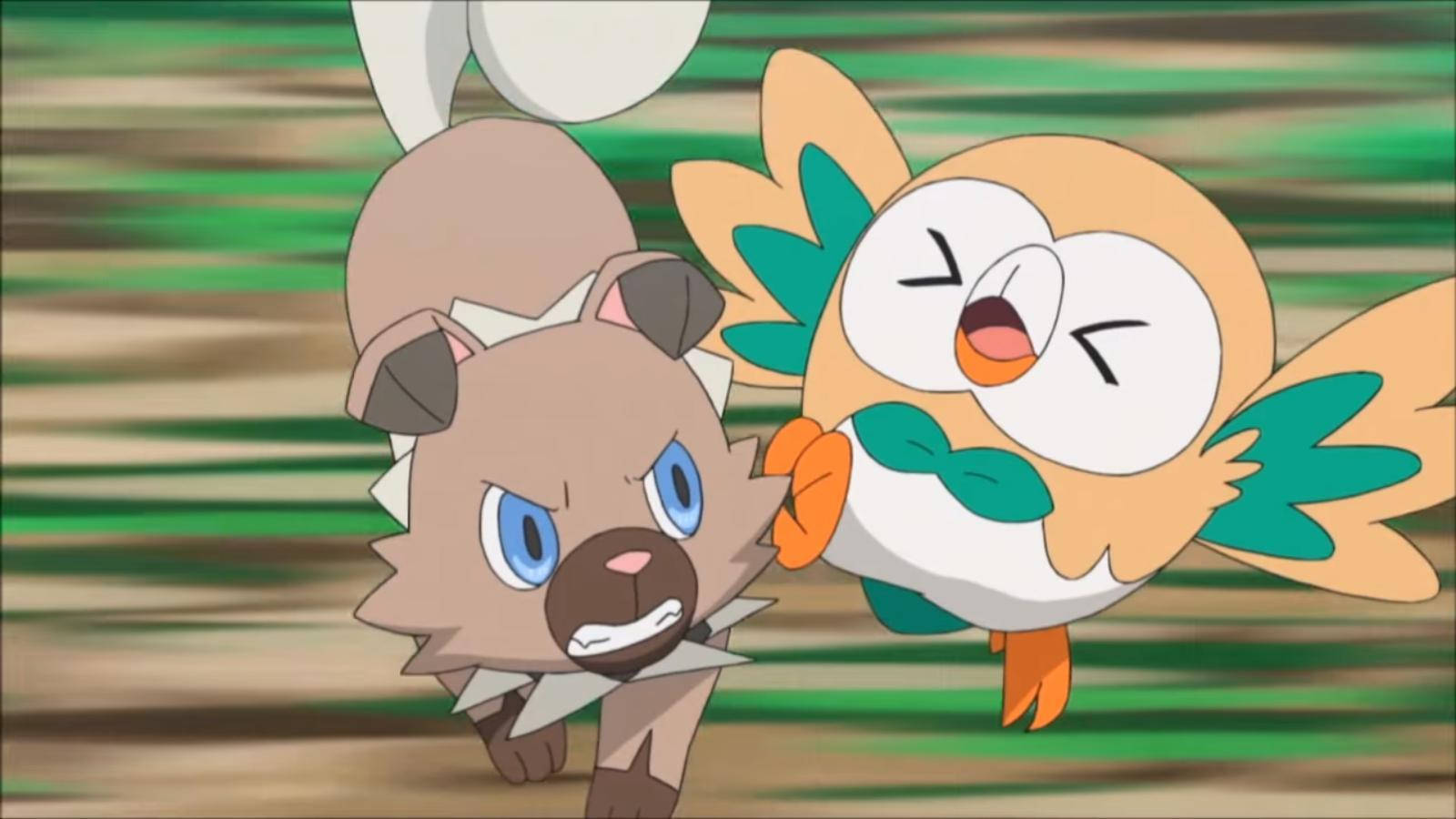 Rockruff Versus Rowlet Background