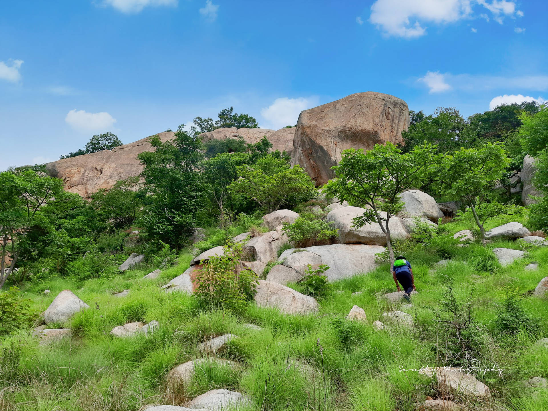 Rocky Grassy Field Togo Background