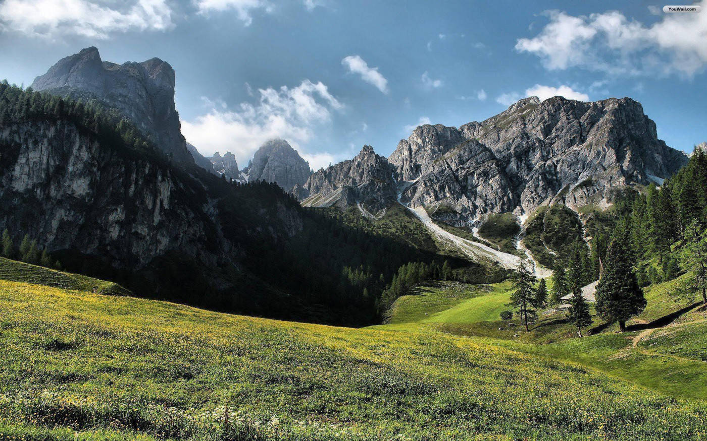 Rocky Mountain Behind A Field By The Forest