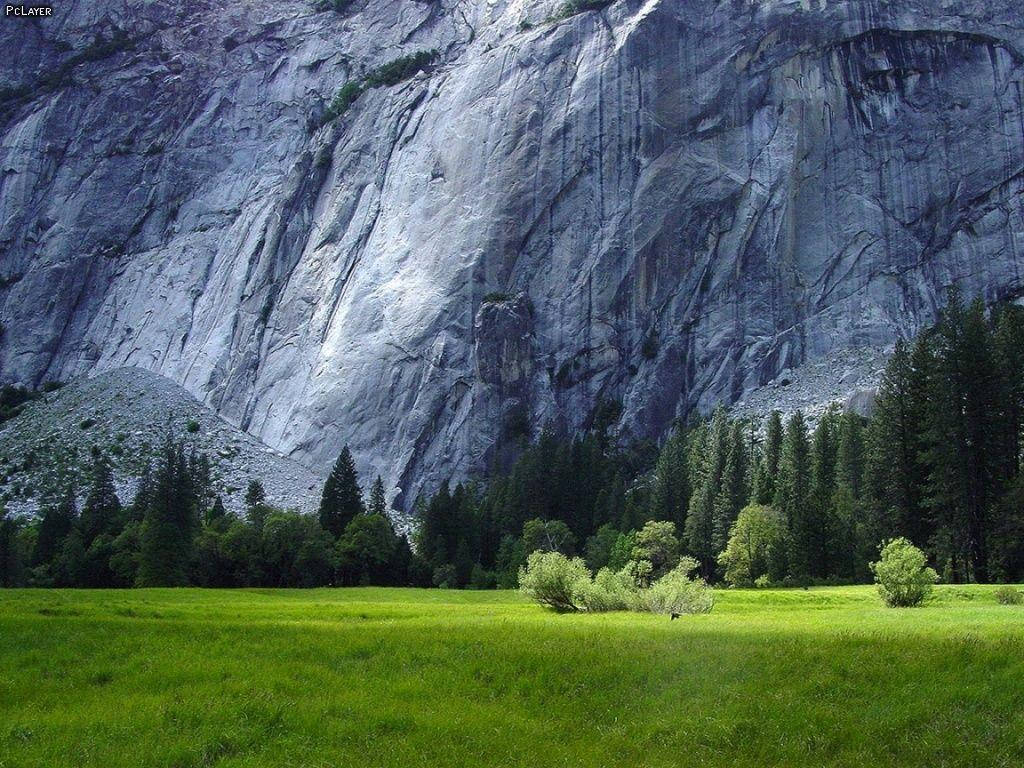 Rocky Mountain Behind A Grassy Plain Background