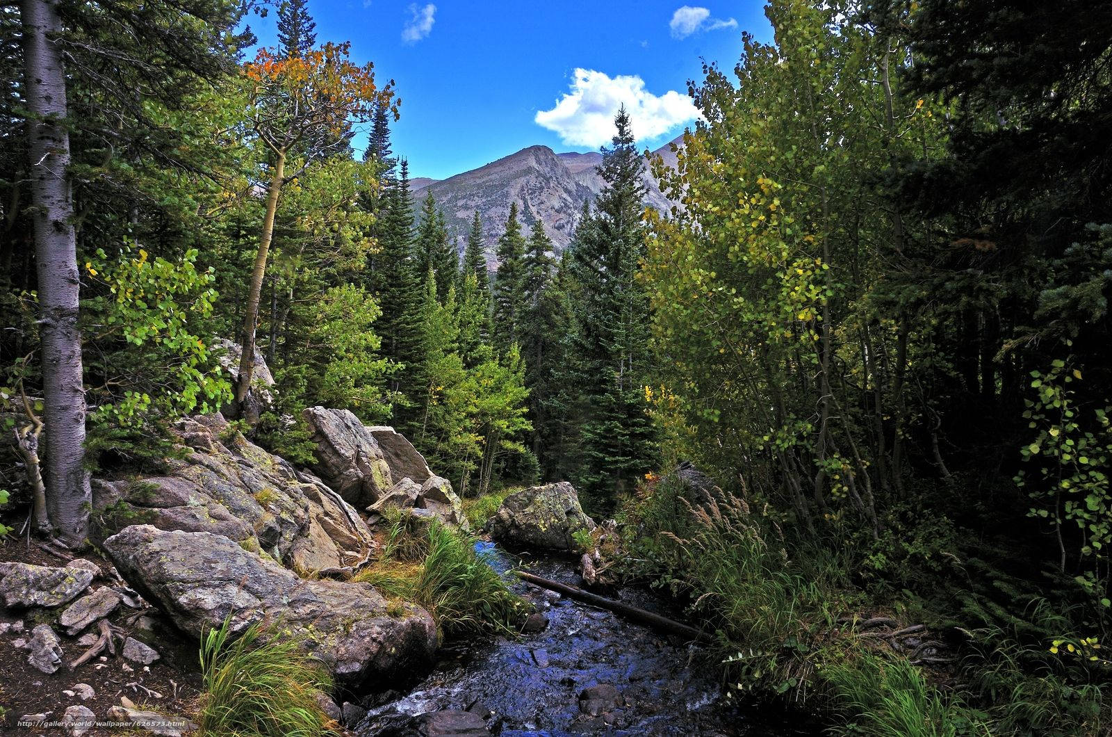 Rocky Mountain National Park Bubbling Brook