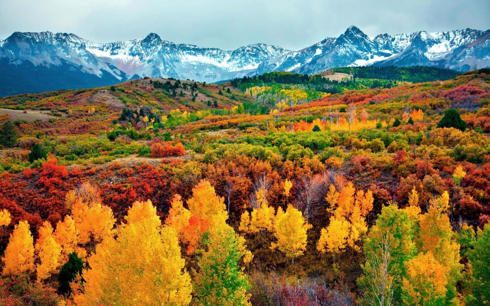 Rocky Mountain National Park Colorado Desktop Background