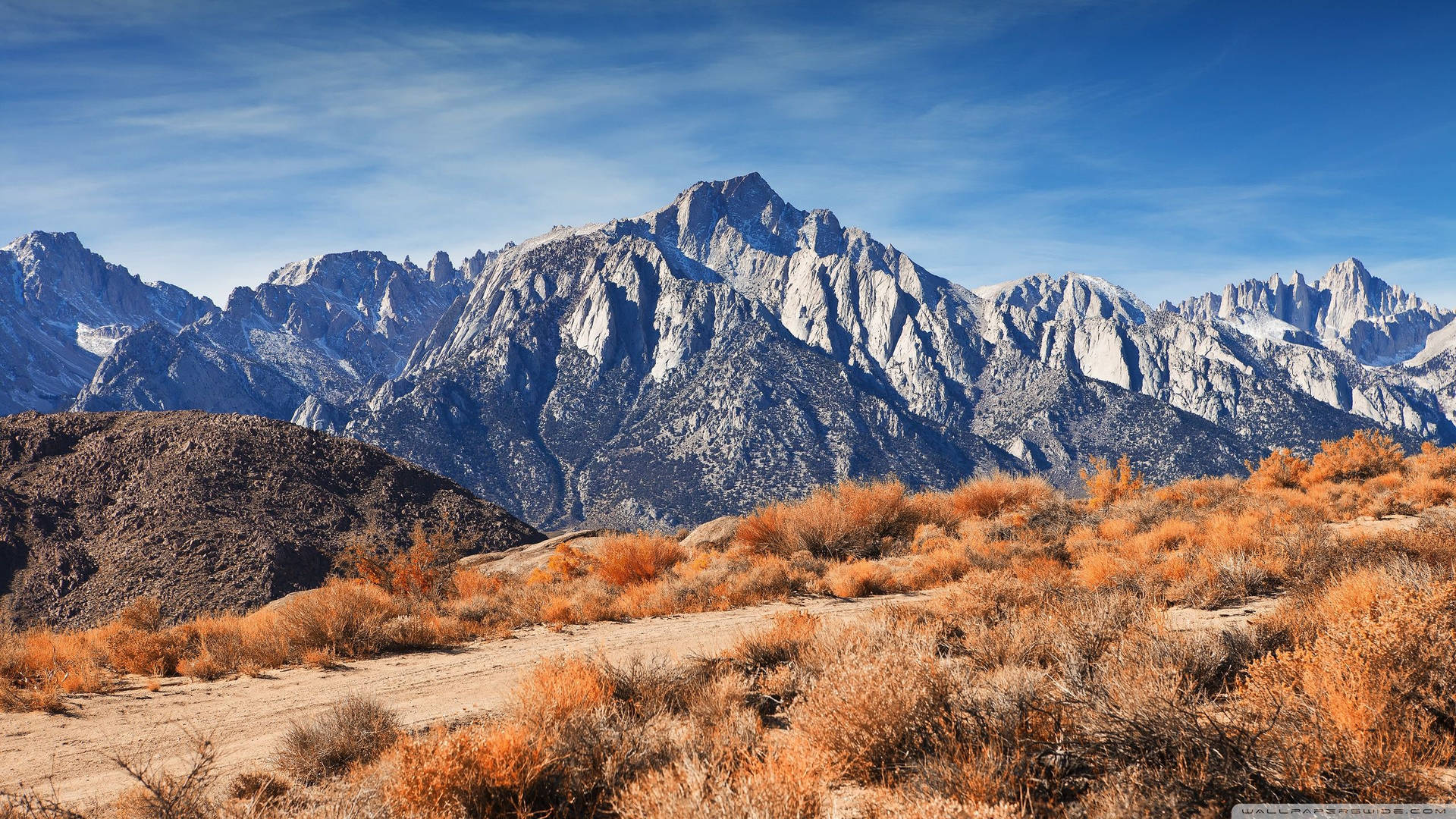 Rocky Mountain Surrounded By Orange Foliage