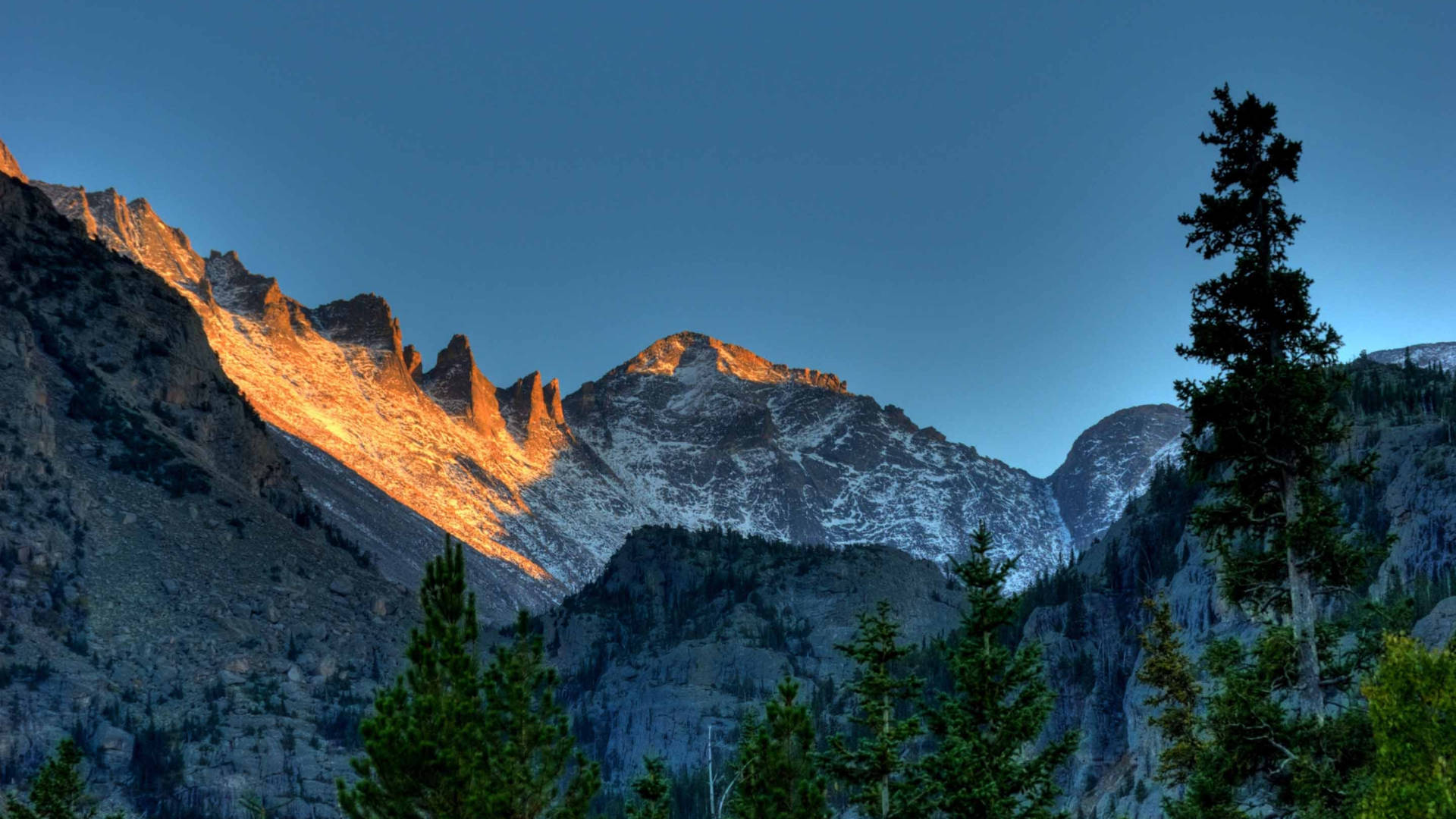 Rocky Mountain Towering Over The Woods Background