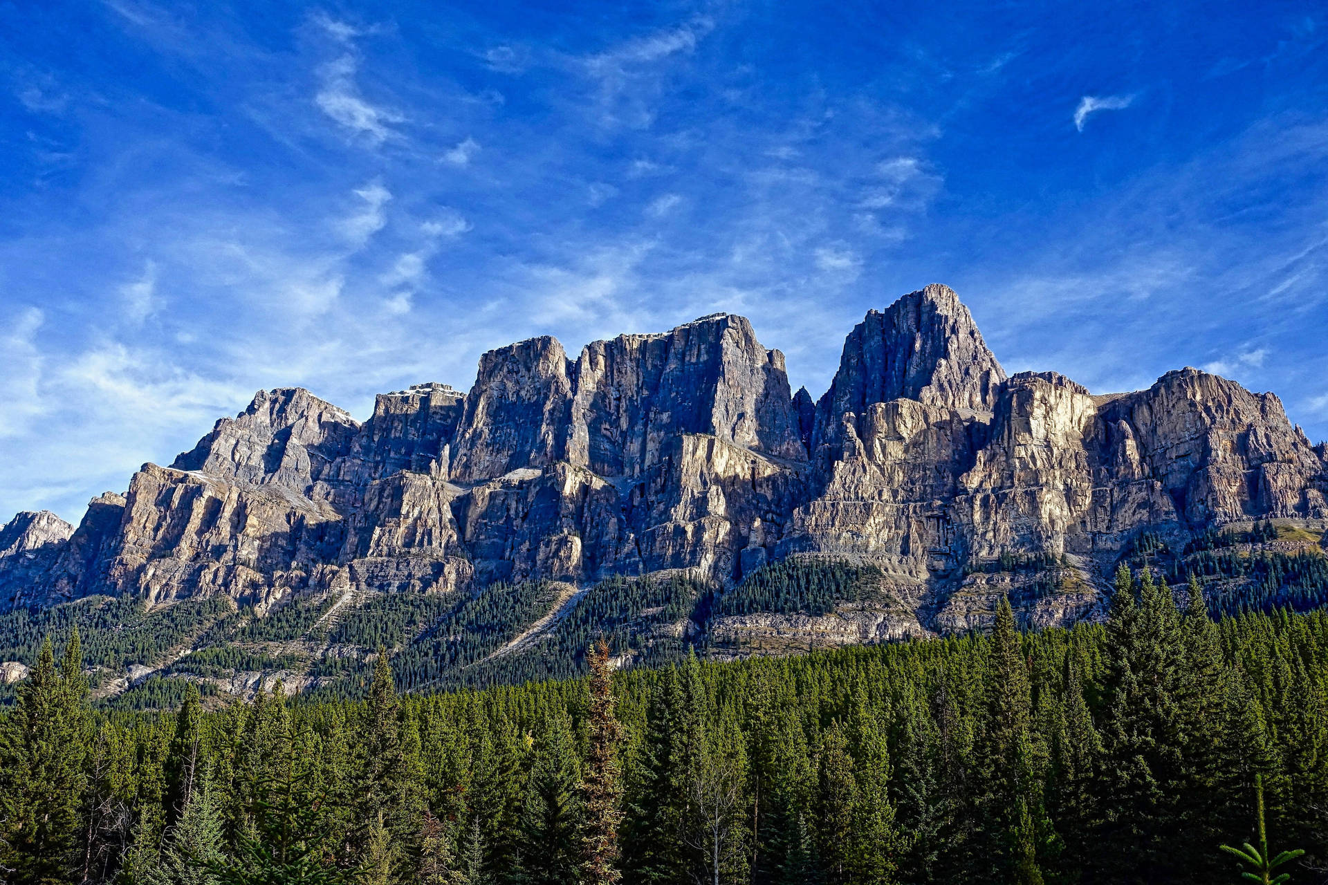 Rocky Mountain Towers Over The Forest Background