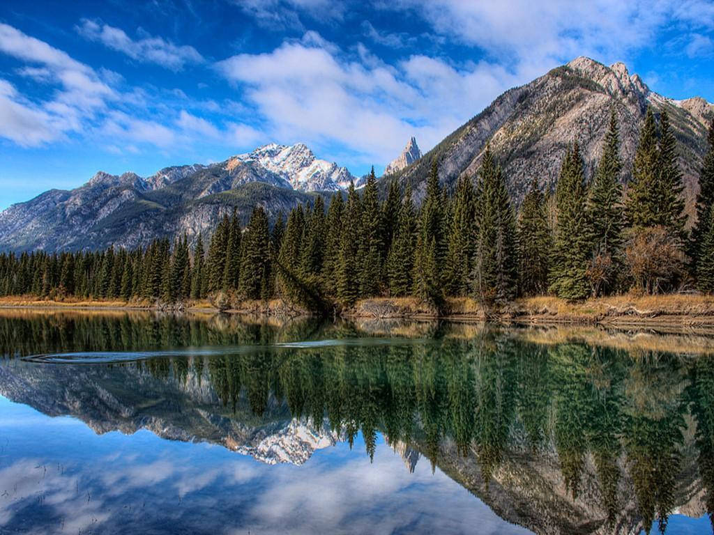 Rocky Mountain With Forest Reflected In Clear Water