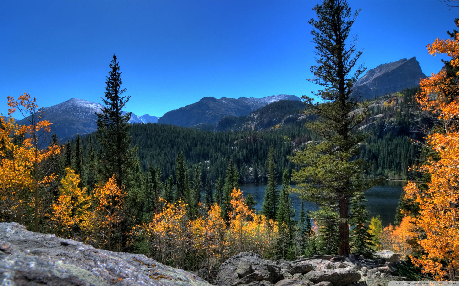 Rocky Mountain With Great Forest In Autumn Background