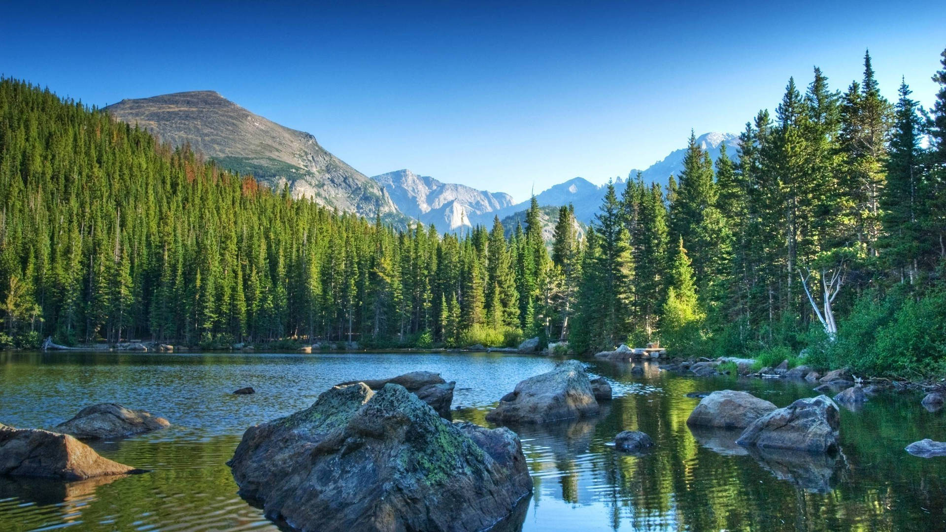 Rocky Mountain With Rocky Lake Surrounded By Trees