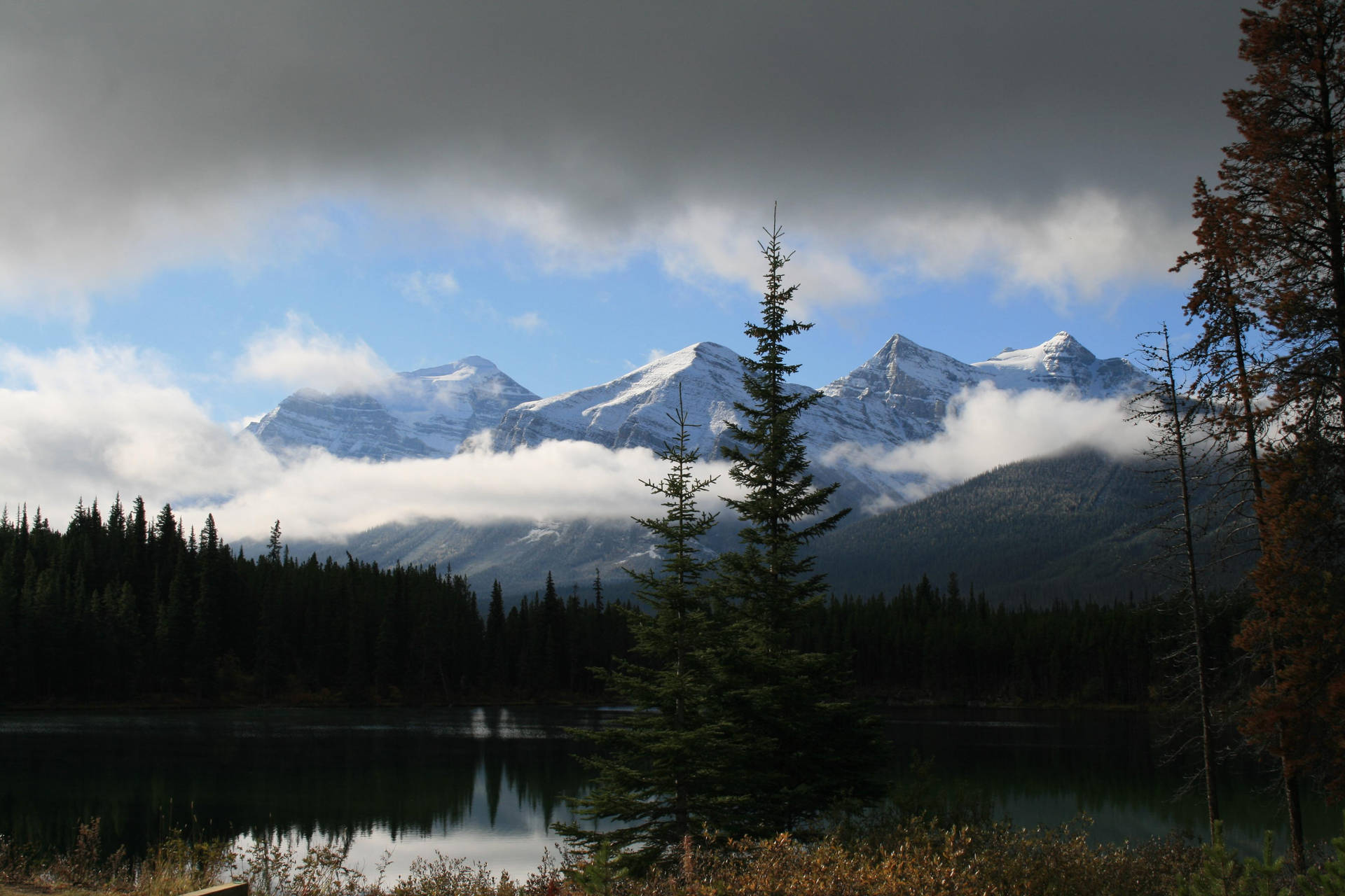 Rocky Mountain With Shadowy Forest Beneath Clouds