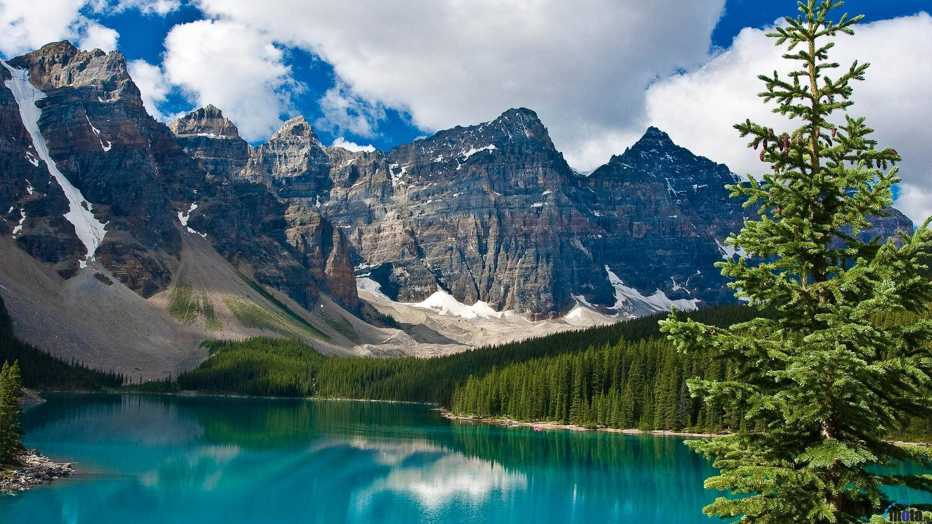 Rocky Mountain With Thick Trees By The Lake Background