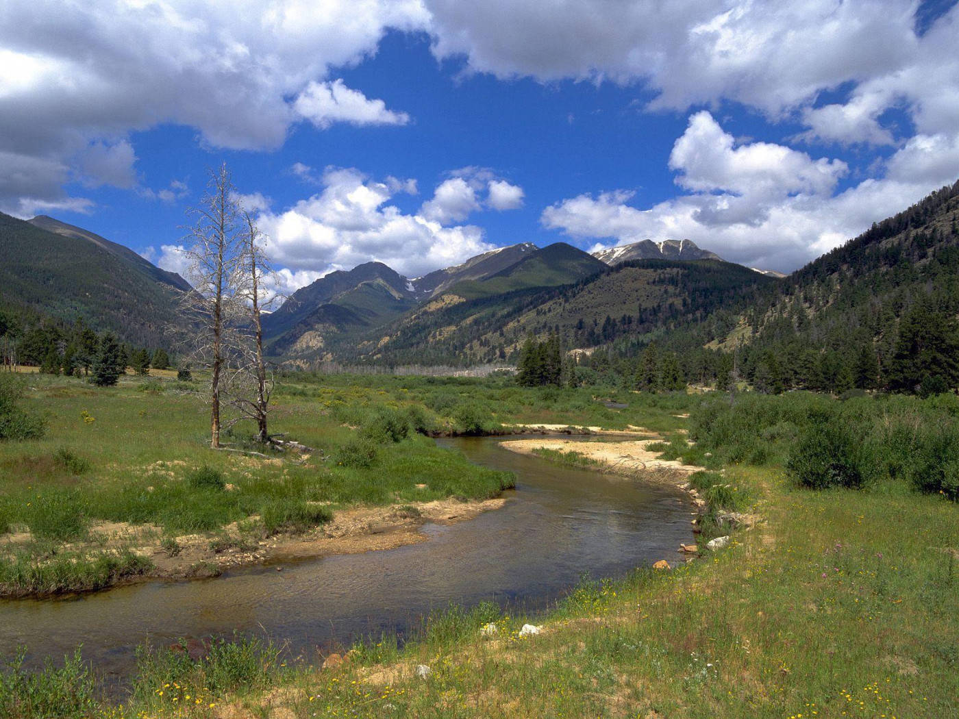 Rocky Mountain With Two Dead Trees By River Background