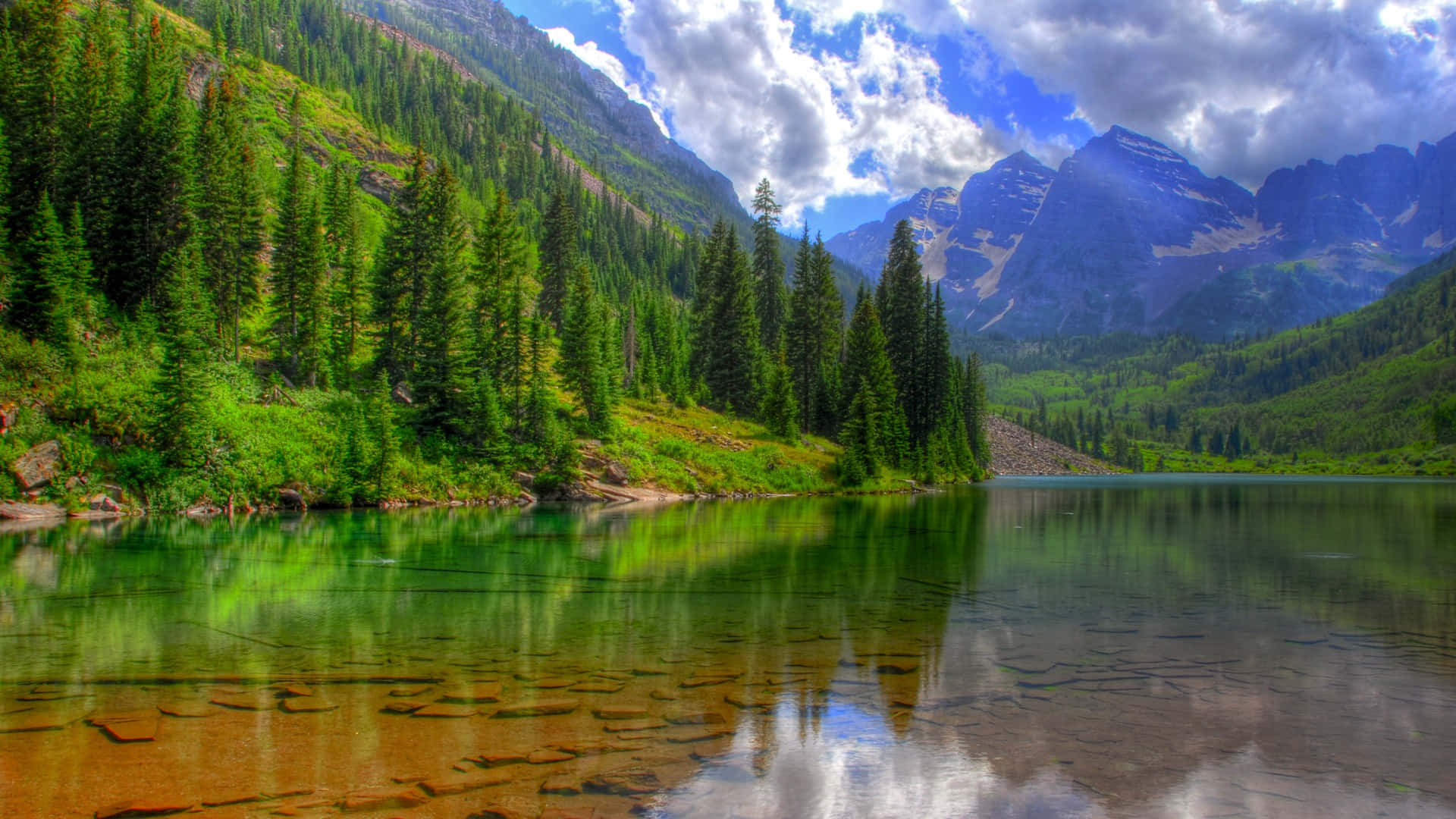 Rocky Mountains Forest Pine Trees Background