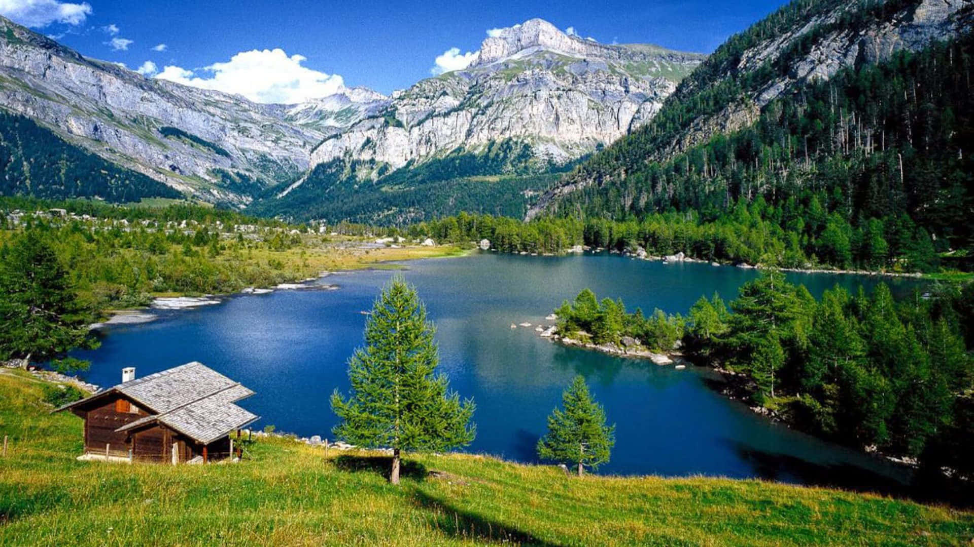 Rocky Mountains Landscape Forest Pine Trees