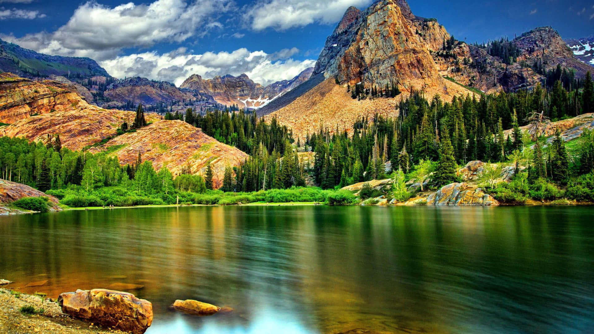 Rocky Mountains Landscape Nature Forest