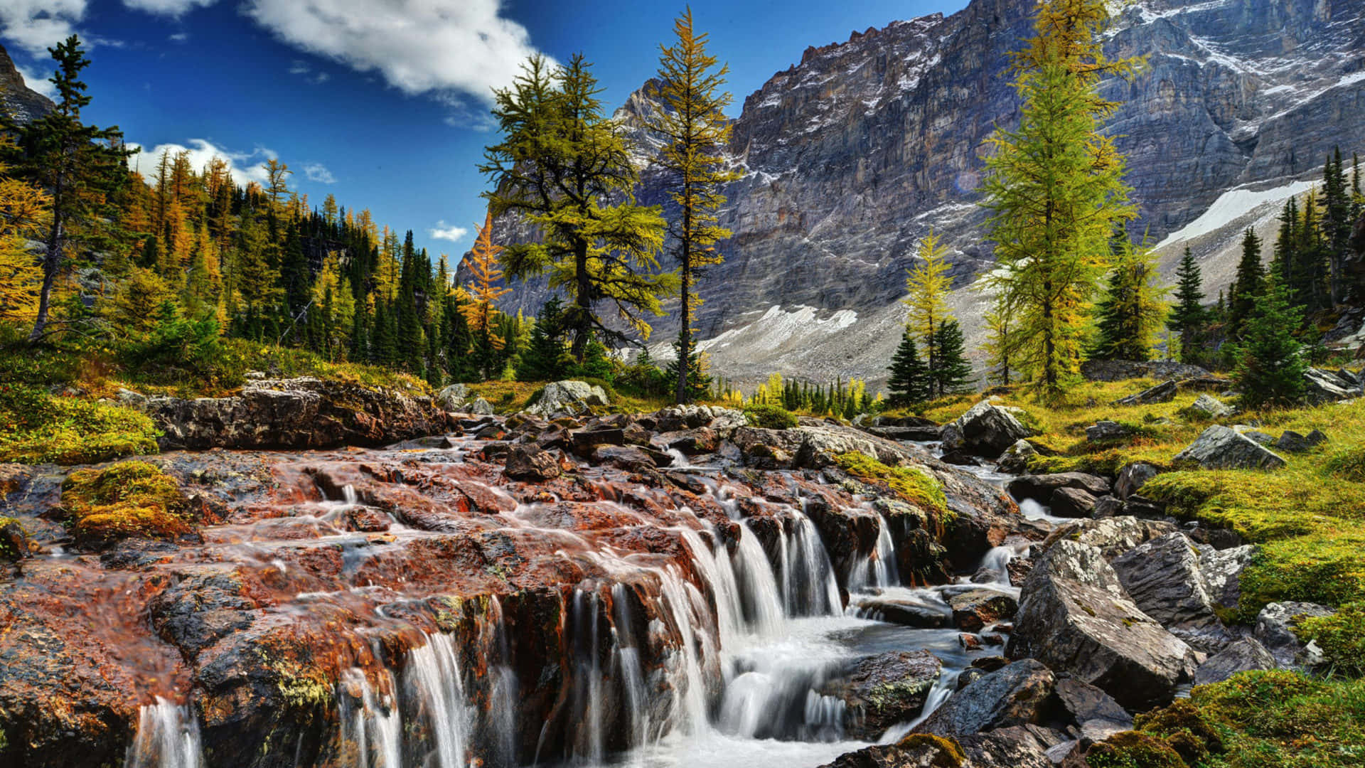 Rocky Mountains National Park Vacation Background