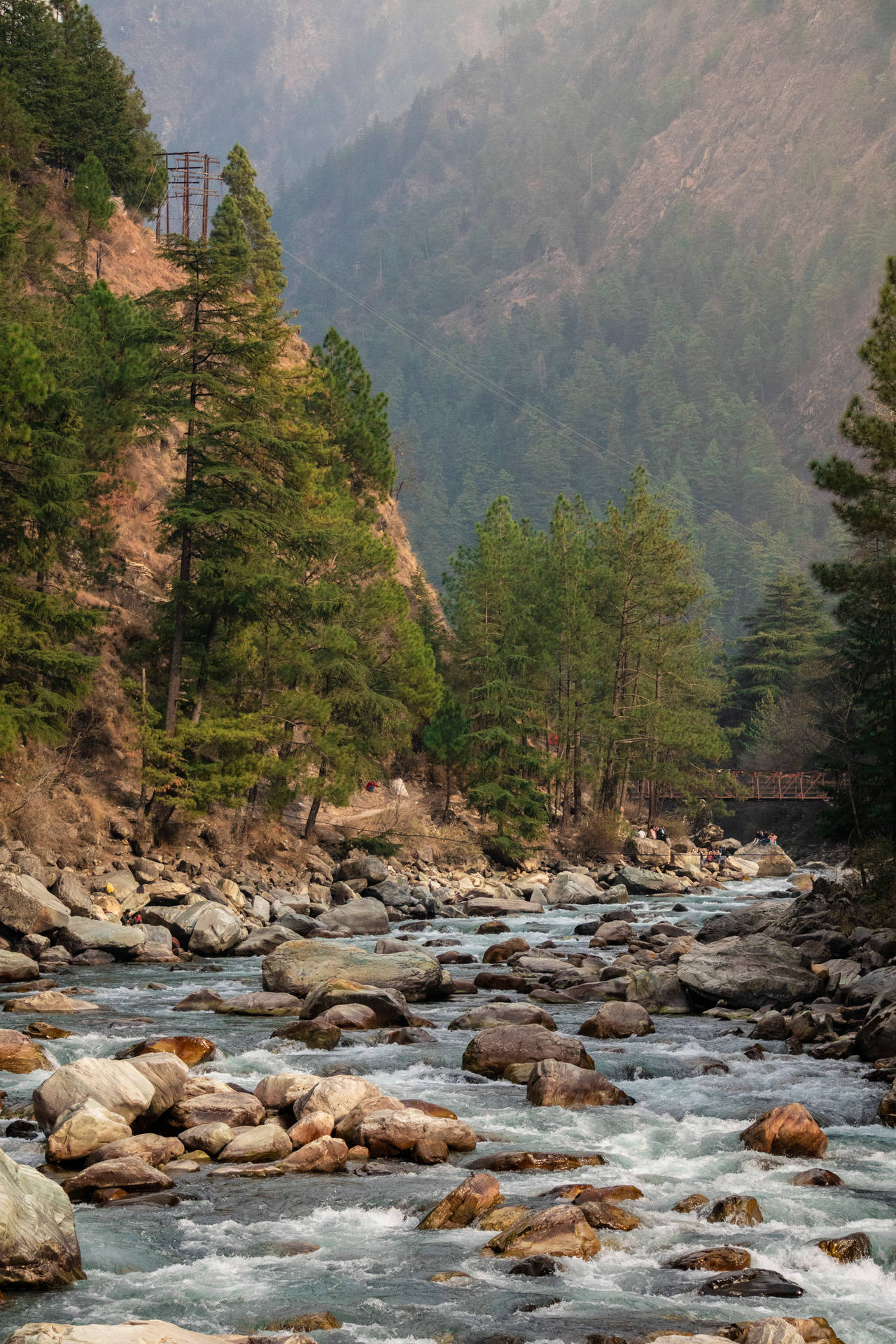 Rocky Riverside With Trees Phone Background