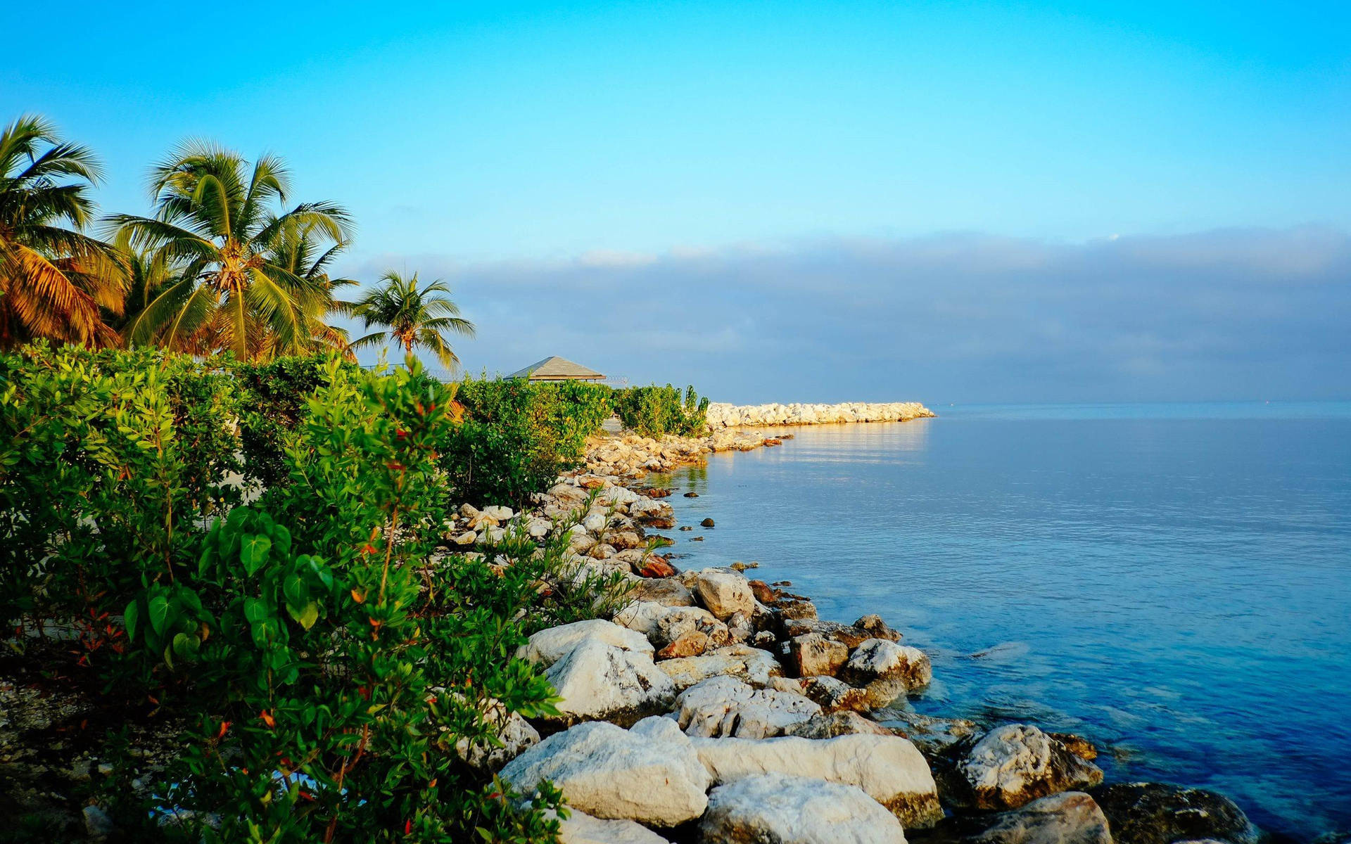 Rocky Shore In Montego Bay Background